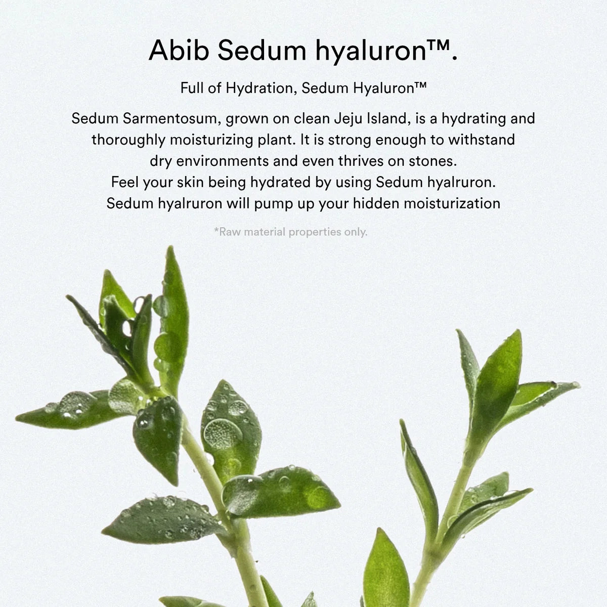 Sedum Hyaluron Pad Hydrating Touch