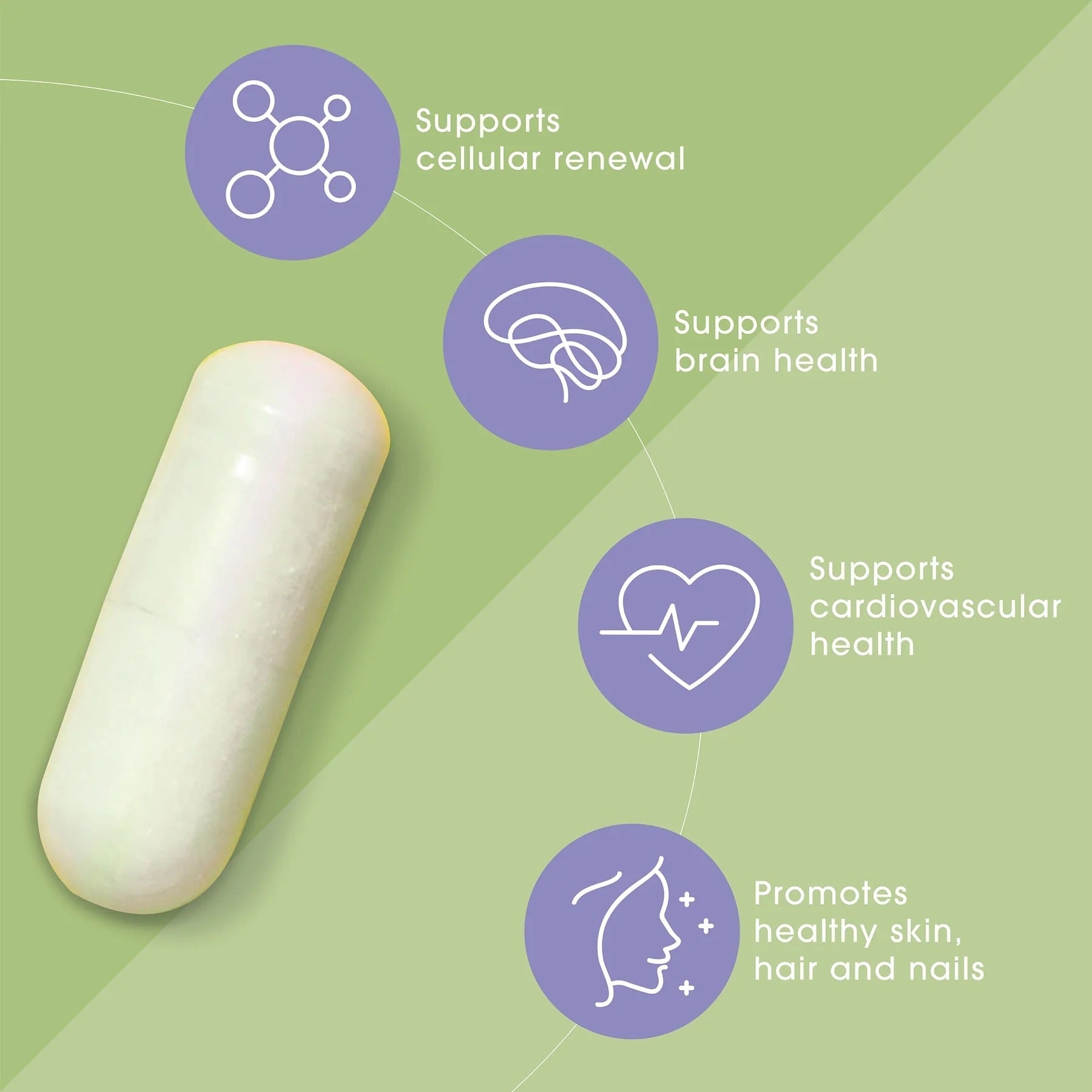 Age Hack Rejuvenation