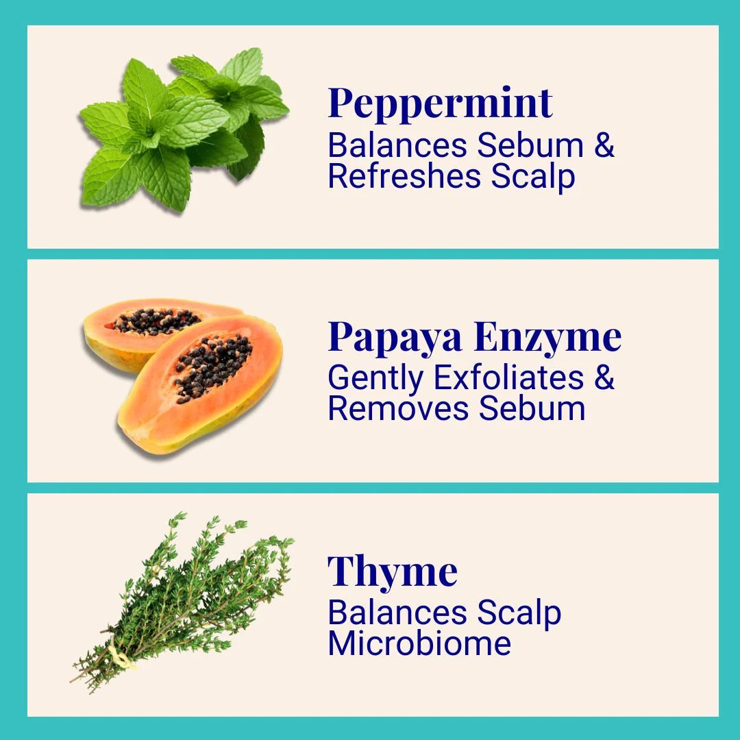 Purifying Shampoo For Oily Scalp & Limp Hair Peppermint & Papaya Enzyme