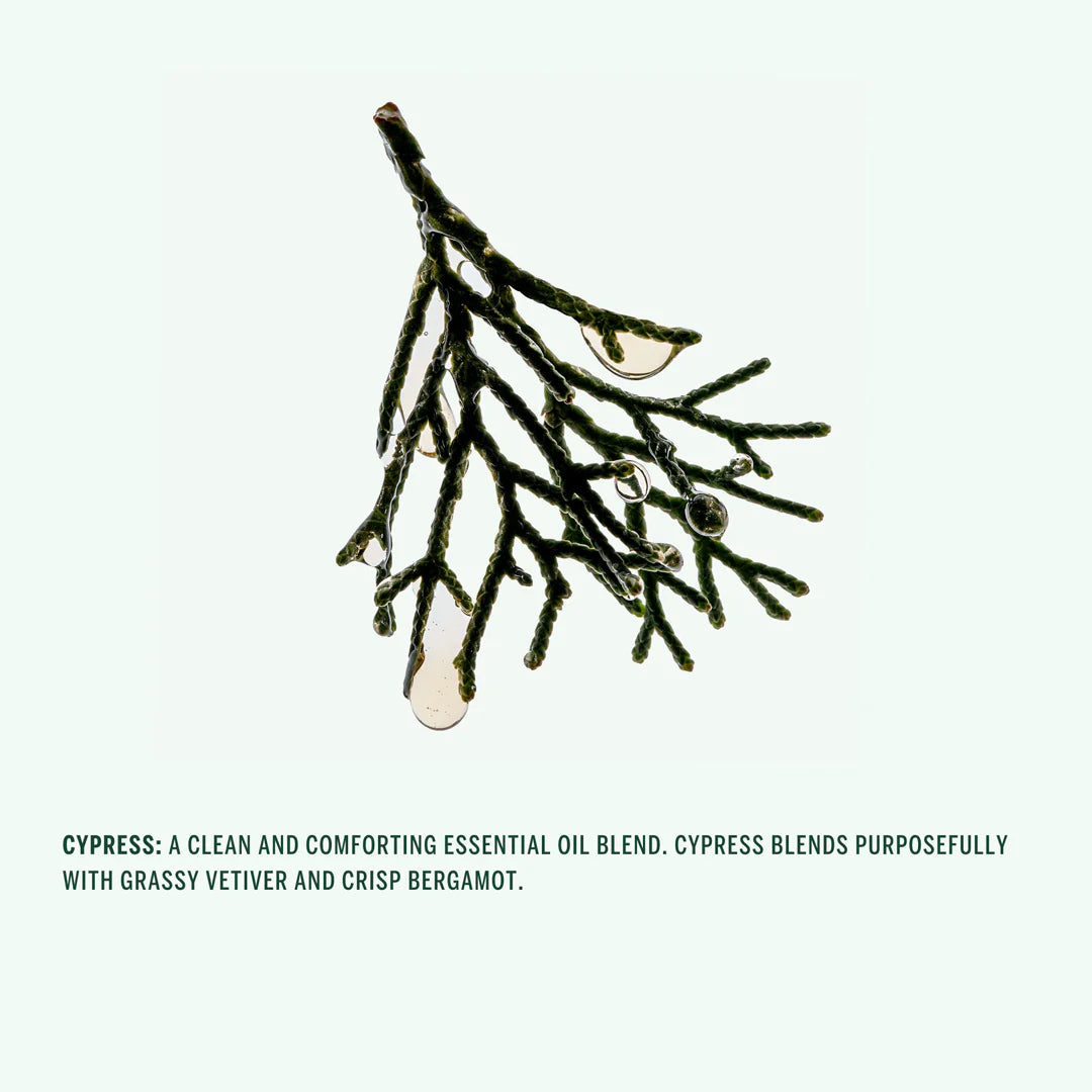 Cypress Shampoo