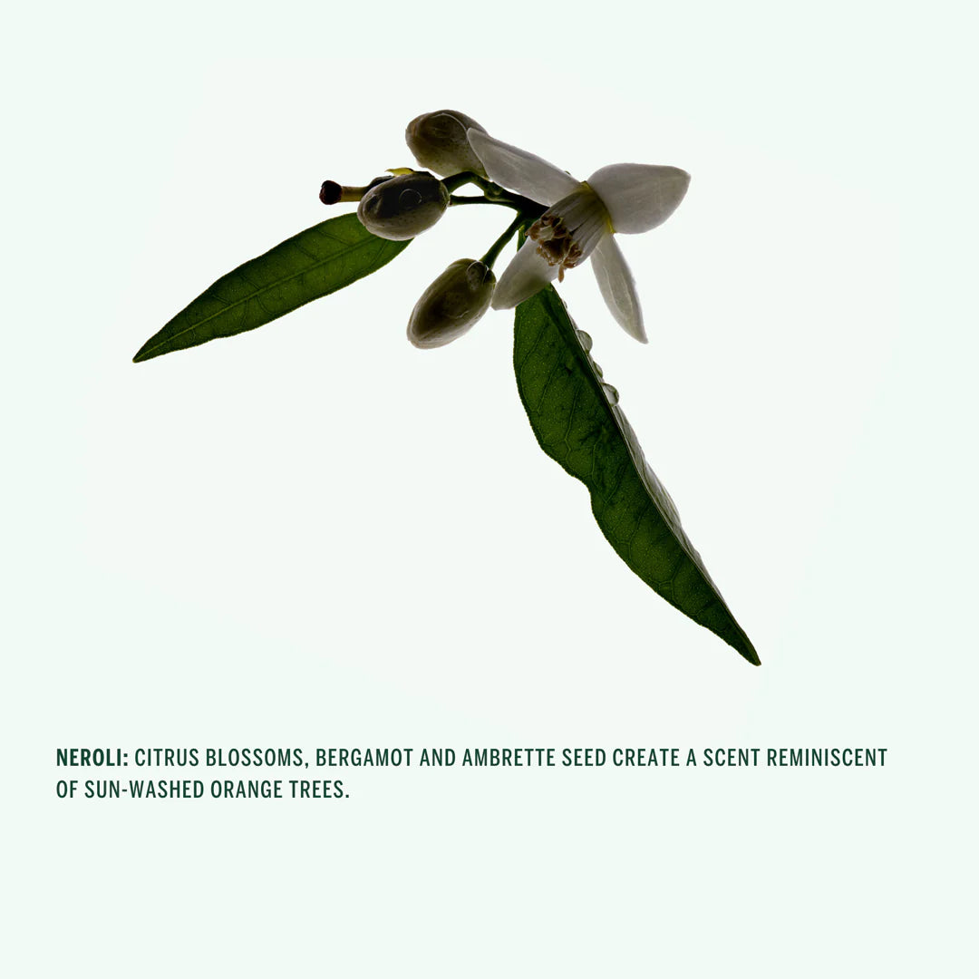 Natural Deodorant Stick Neroli