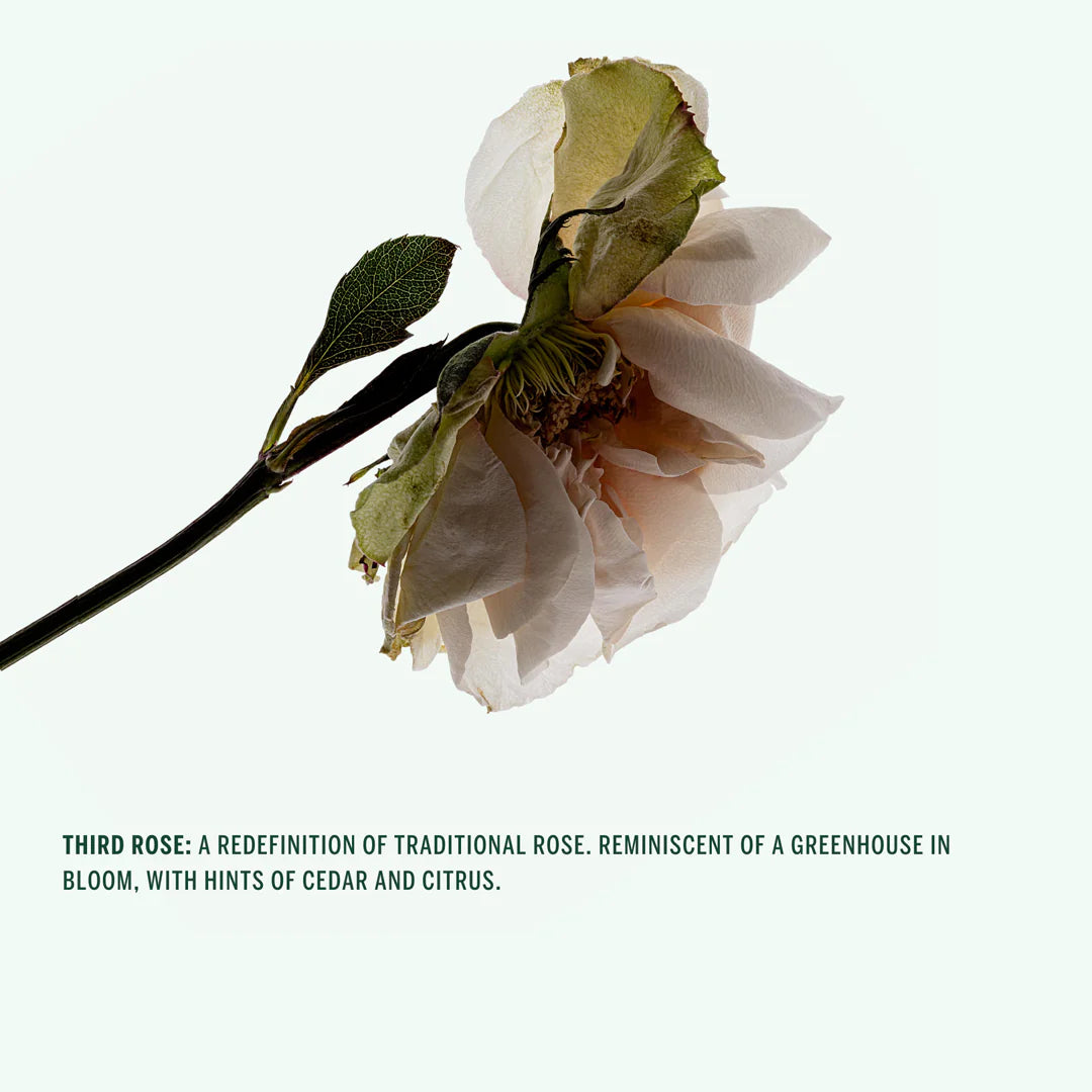 Natural Body Wash Third Rose