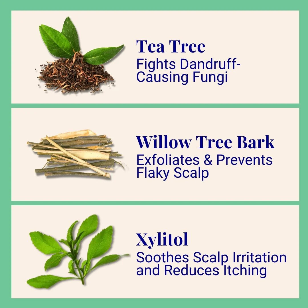 Exfoliating Shampoo For Loose Dandruff Flakes Tea Tree & Salicylic Acid
