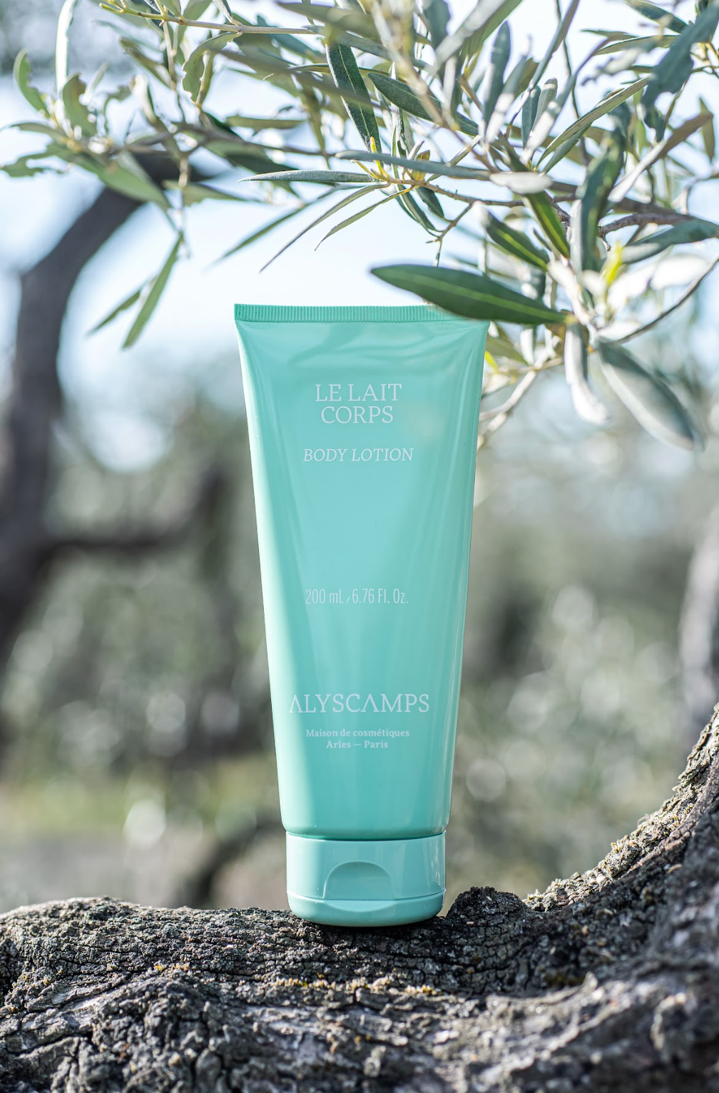 Body Lotion