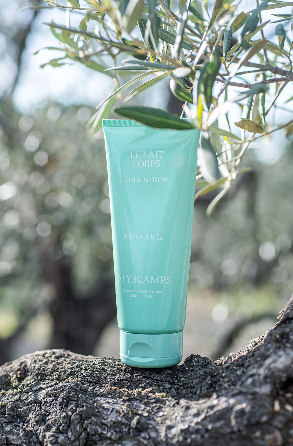 Body Lotion