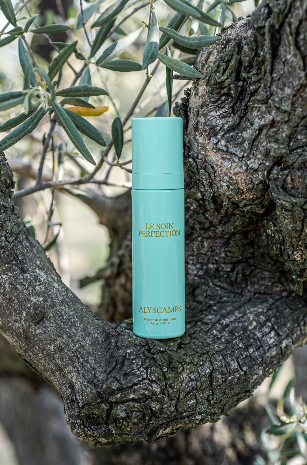 Perfecting Skincare