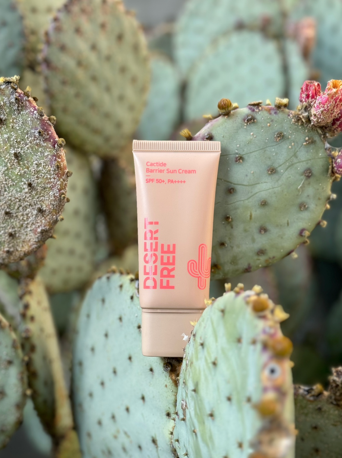 Cactide Barrier Sun Cream 50ml