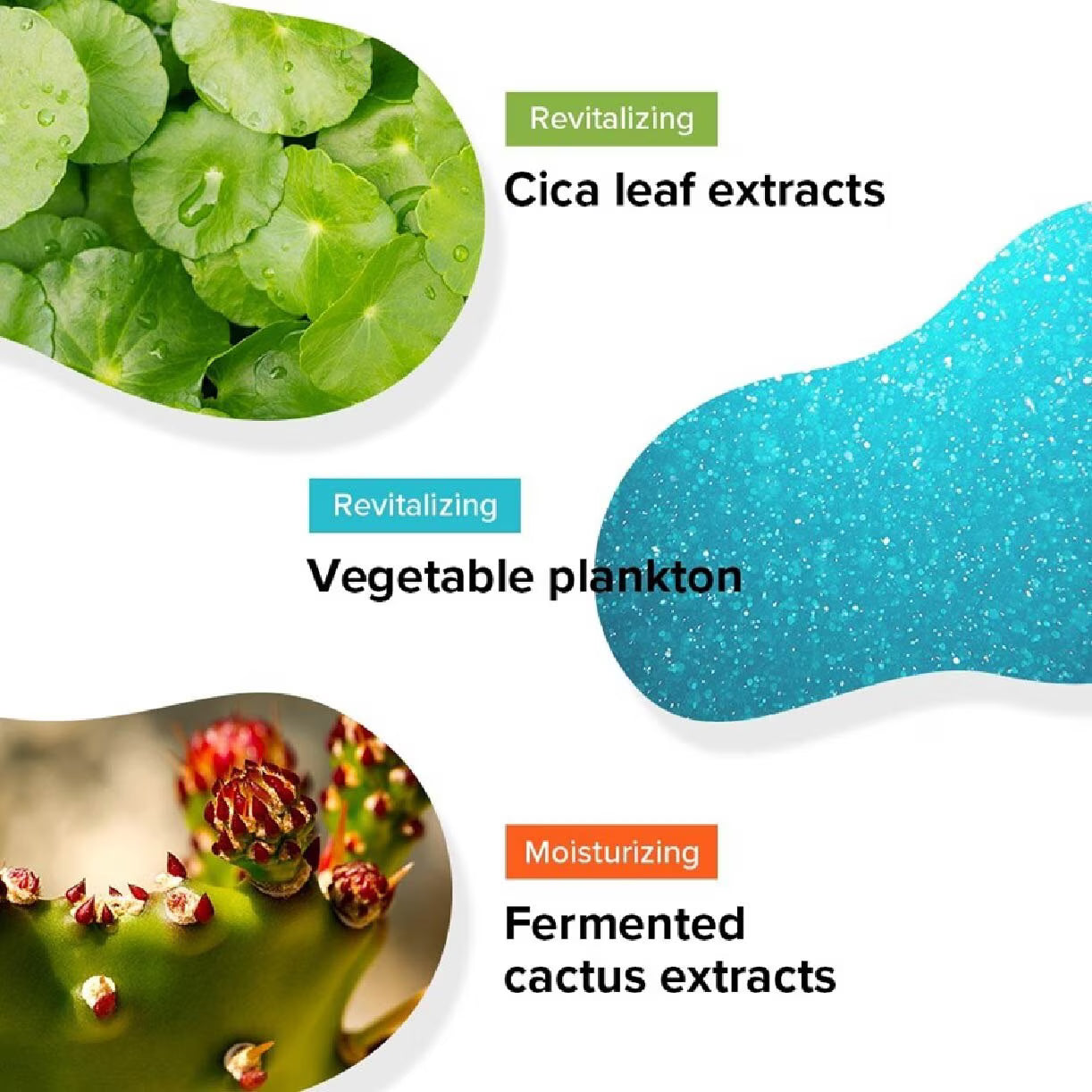Cica Care Treatment